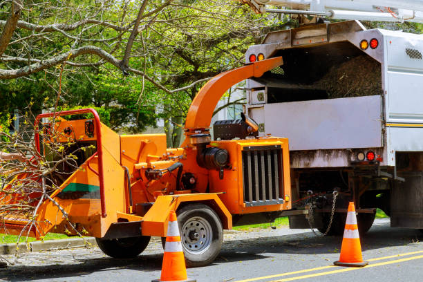 Buffalo, TX  Tree Services Company